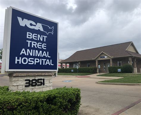 VCA Bent Tree Animal Hospital Location 3851 Frankford Road Dallas, TX 75287. . Vca bent tree